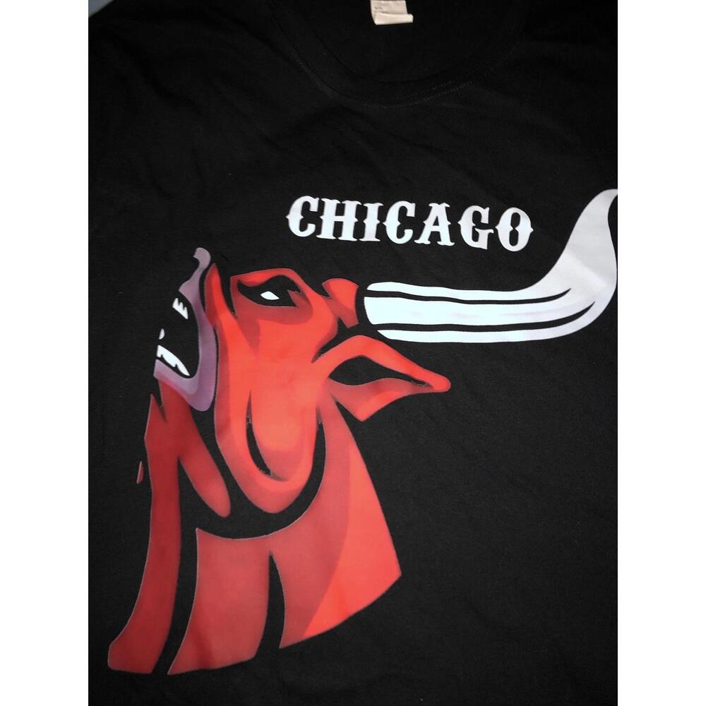 Mens Chicago Bulls T Shirt Black  M